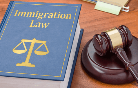 Immigration law book and gavel